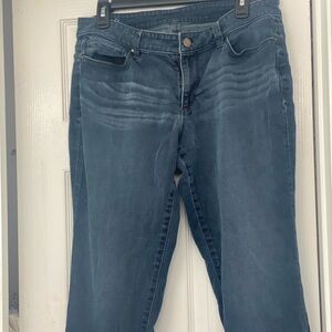 Ann Taylor Blue Straight Leg Jeans